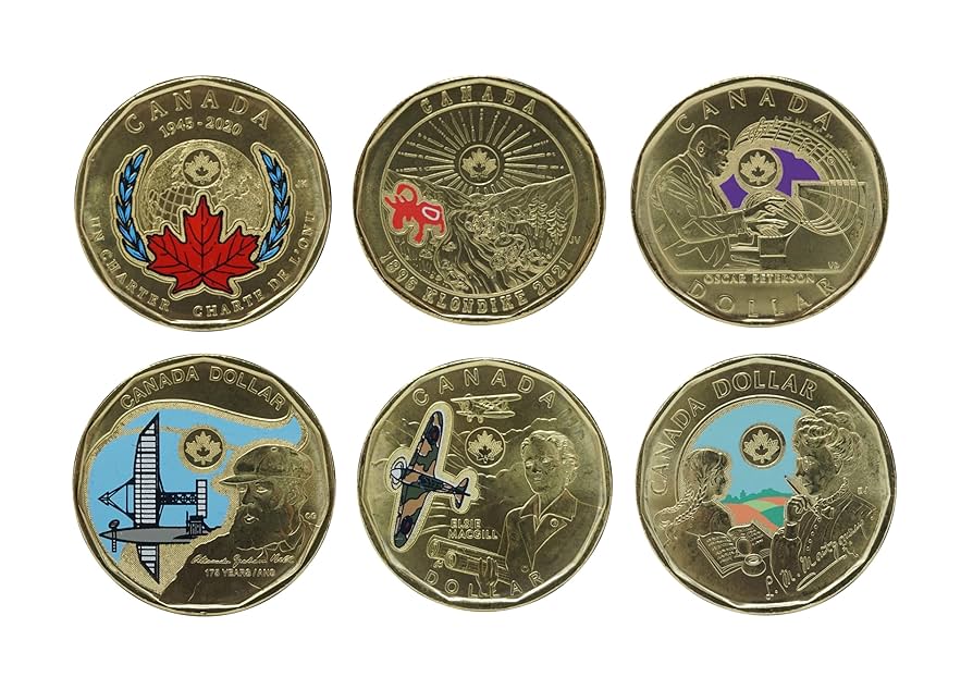 2020-2024 Canadian $1 Coloured Loonie Collection of 6 Coins (Uncirculated)  : Amazon.ca: Toys & Games