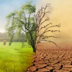 The current image has no alternative text. The file name is: What_Is_Climate_Change_Causes_Impact_on_Humans_and_Animals.png.webp